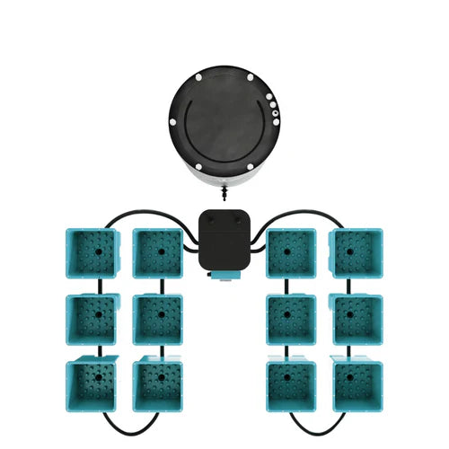 AirCube Active Oxygen Ebb and Flow 12 Pot Site