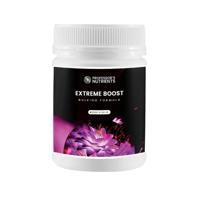 PROFESSORS EXTREME BOOST