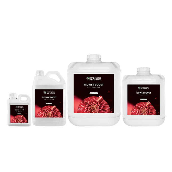 PROFESSORS FLOWER BOOST