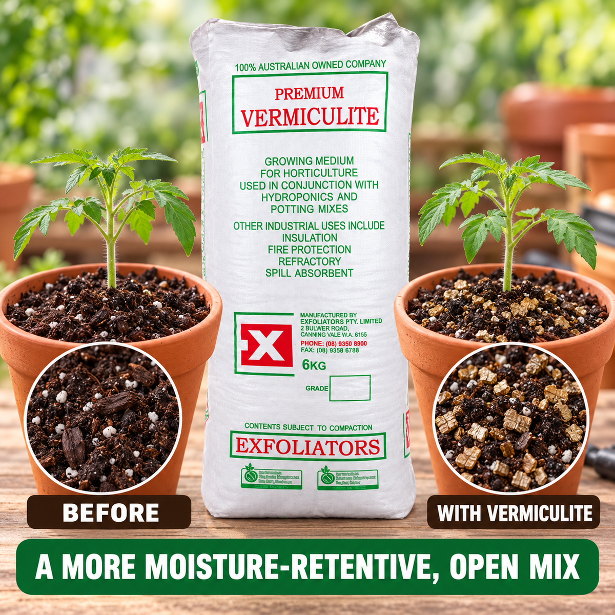 AI-created growing-media comparison showing potting mix before and after adding Exfoliators Premium Vermiculite, with equal tomato seedlings.