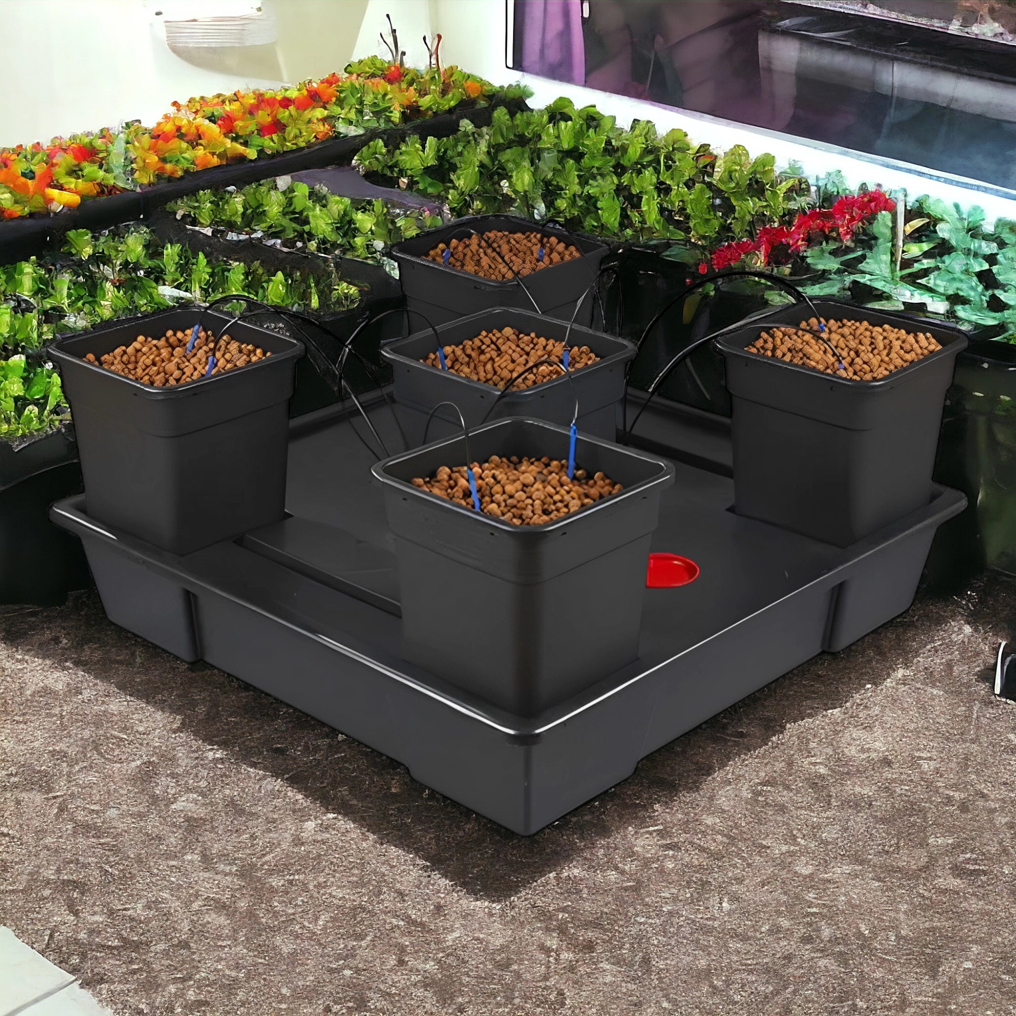 Wilma XXL 5 Pot Set with Pump (115cm x 115cm)