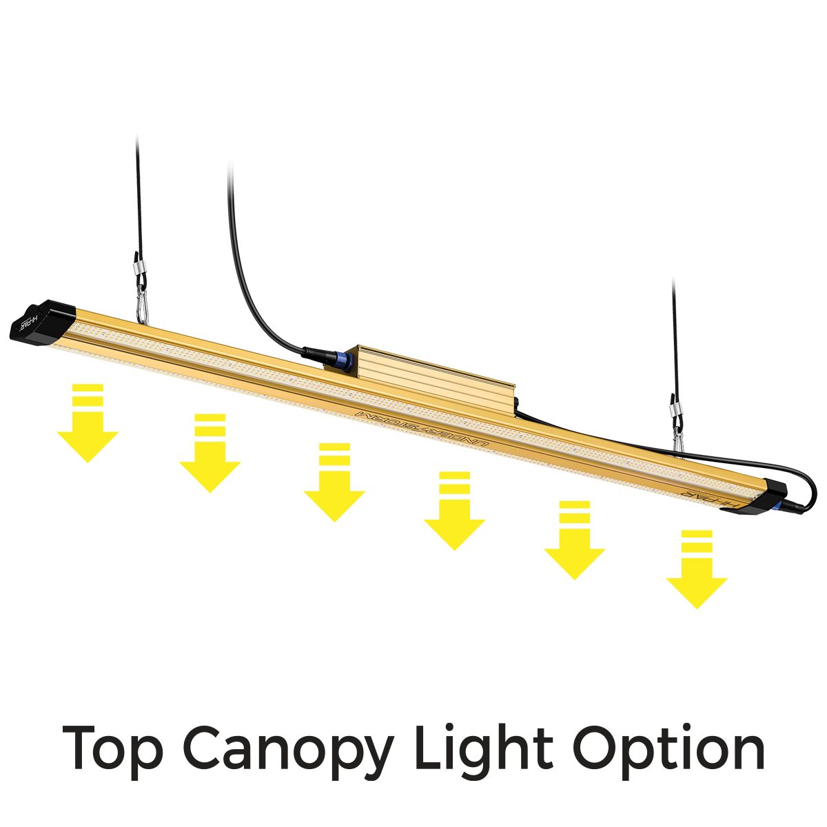 Hi-Par Understorm LED Grow Light 200W