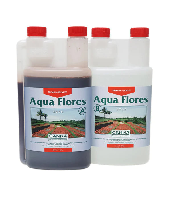 Canna Aqua Flores A & B