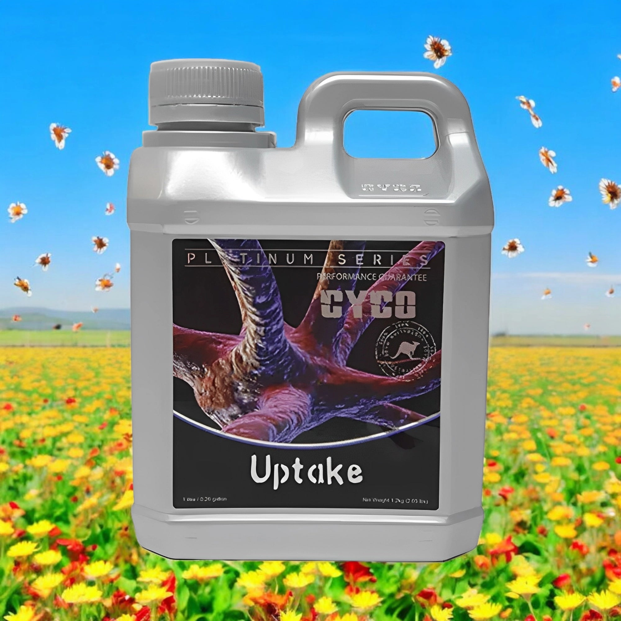 Cyco Uptake
