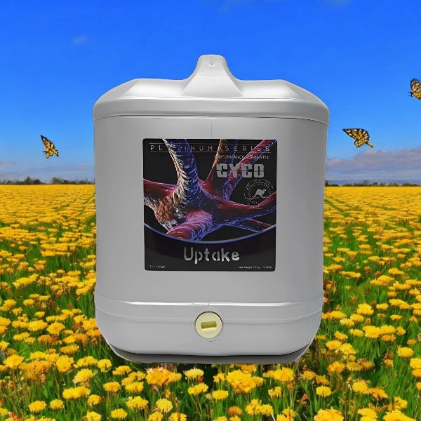 Cyco Uptake