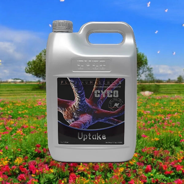 Cyco Uptake