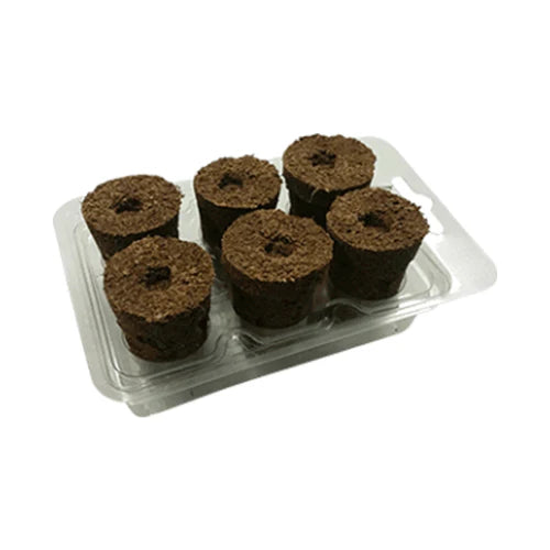 Eazy Plug 6 Plug Sowing Set
