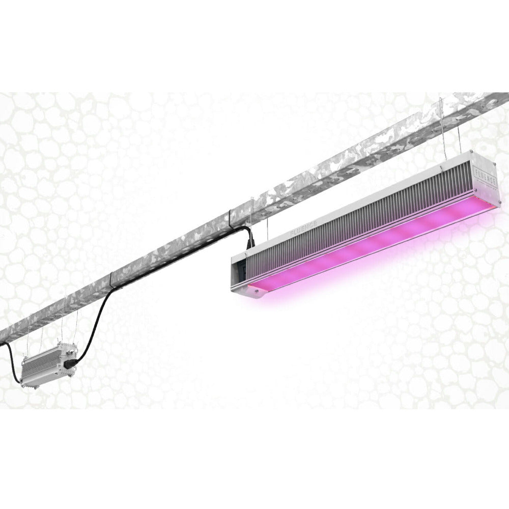 Fluence LED Vypr 3p