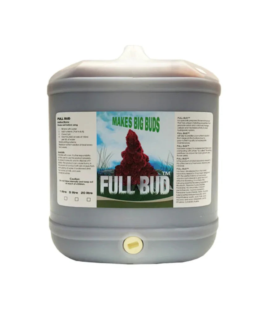 Full Bud 20L