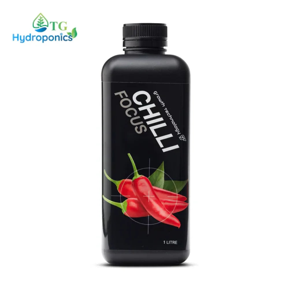 Gt Chilli Focus