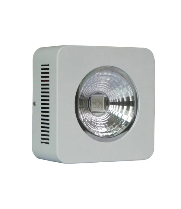 Lushpro WH LED