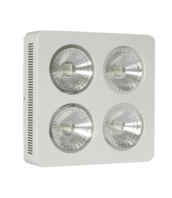 Lushpro WH LED
