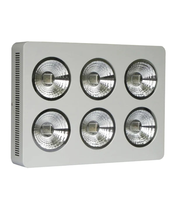 Lushpro WH LED