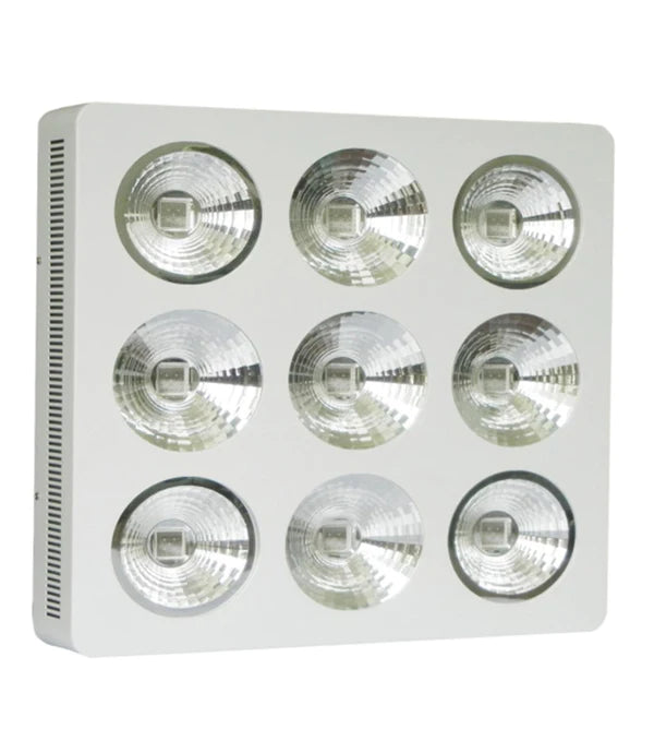 Lushpro WH LED