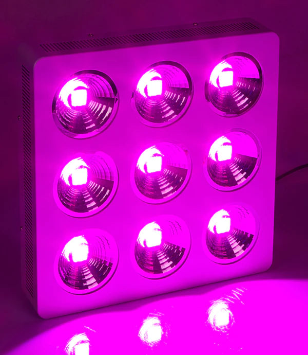 Lushpro WH LED