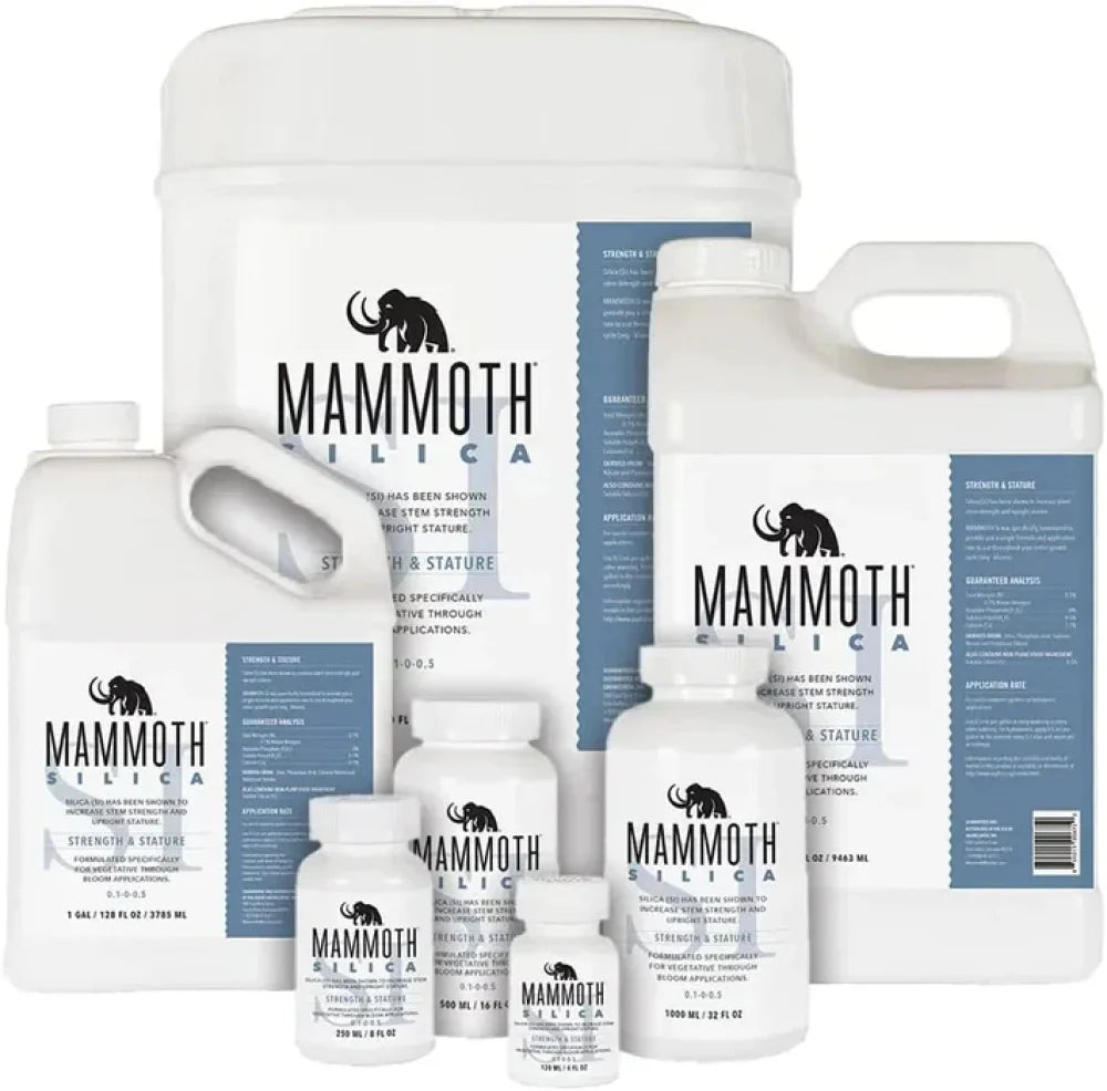 Mammoth Silica 100Ml