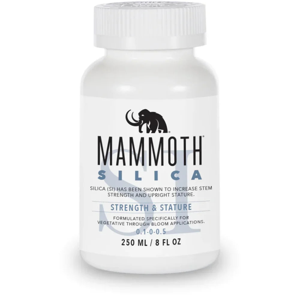 Mammoth Silica 250Ml