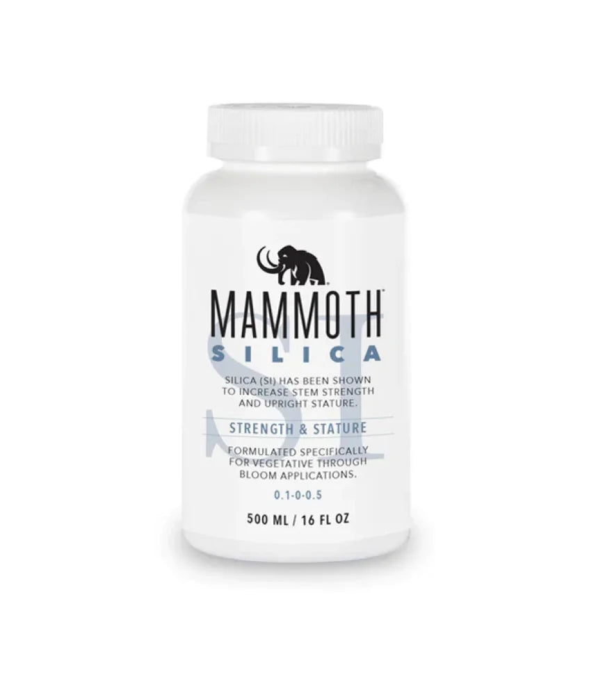 Mammoth Silica 500Ml