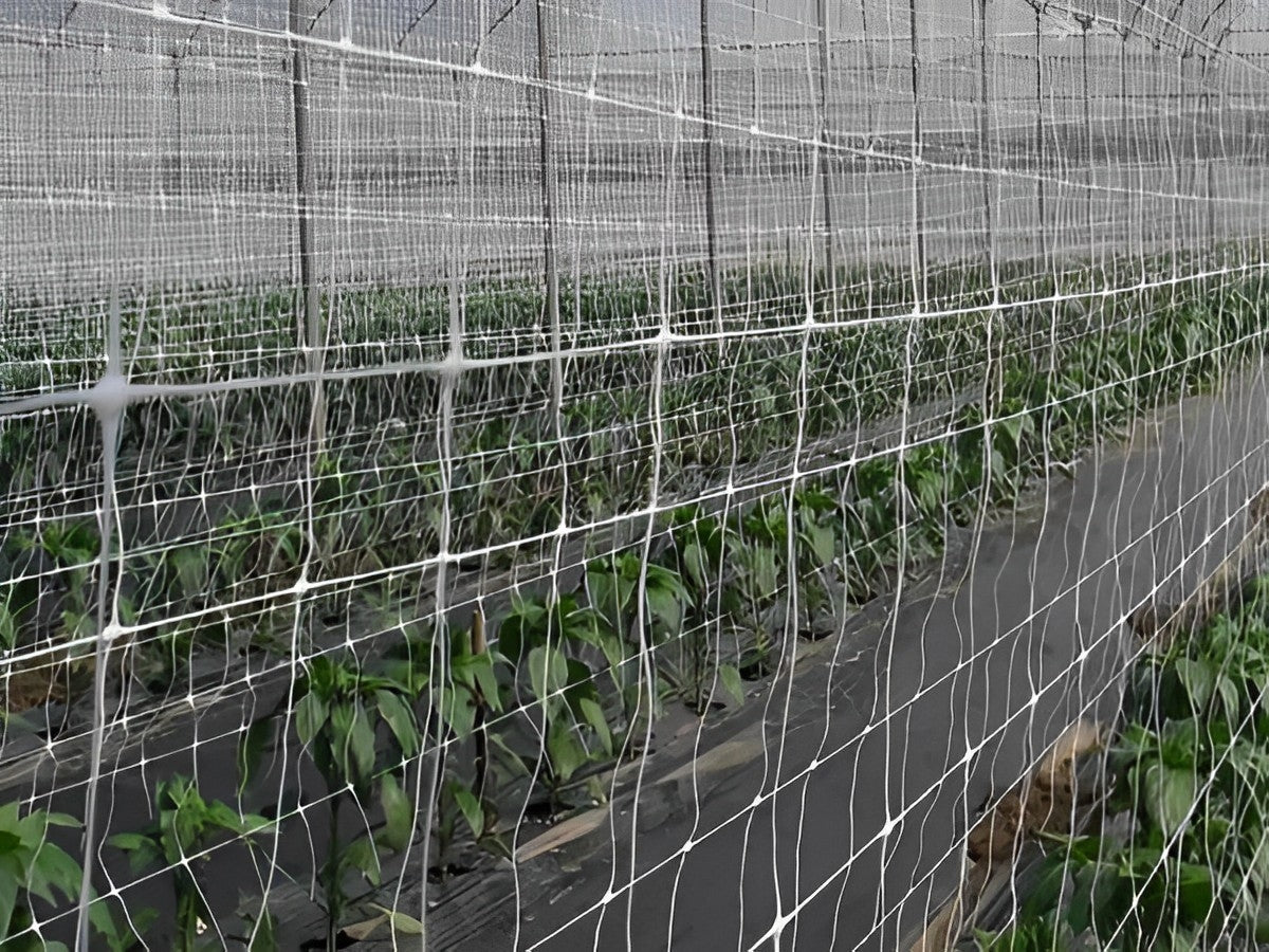 Flower Support Net 1m Wide