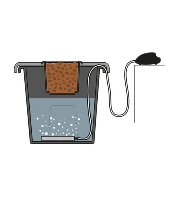 Plantit Aeros Deep Water Culture Module Aerator Kit