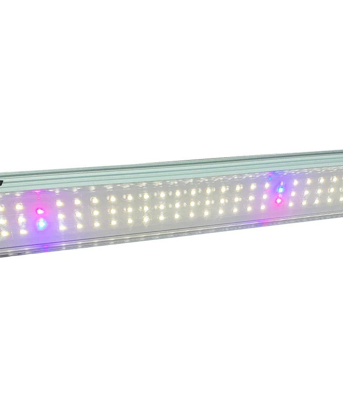 PS1 Twin LED Light Kit 2 x 26w