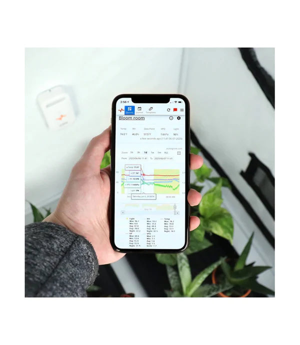Pulse One Smart Environmental Monitor