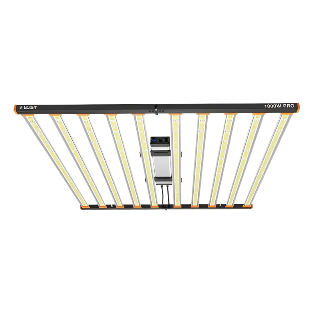 Ulight 1000W LED 10 Bar