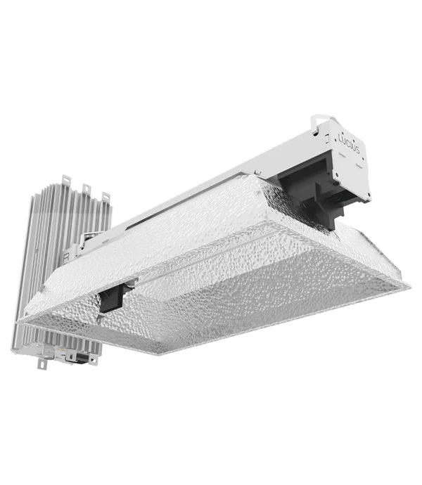 Lucius Recom 630w DE CMH Light Kit