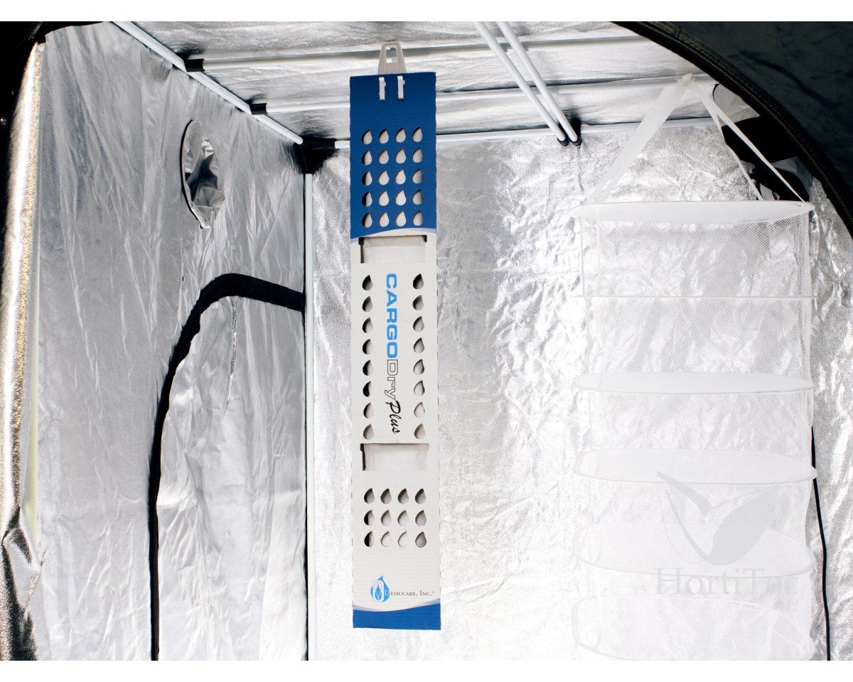 Integra Cargo Dry Plus