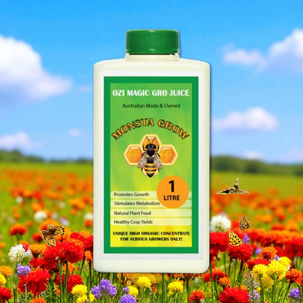 Ozi Magic Monsta Grow