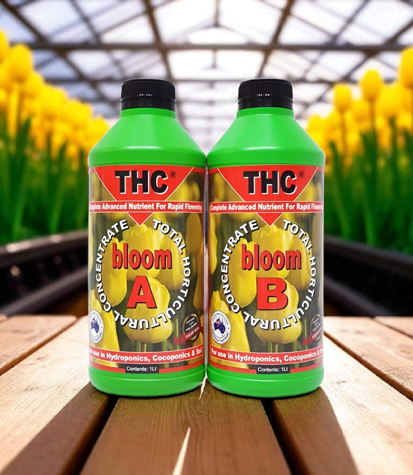 THC bloom A+B