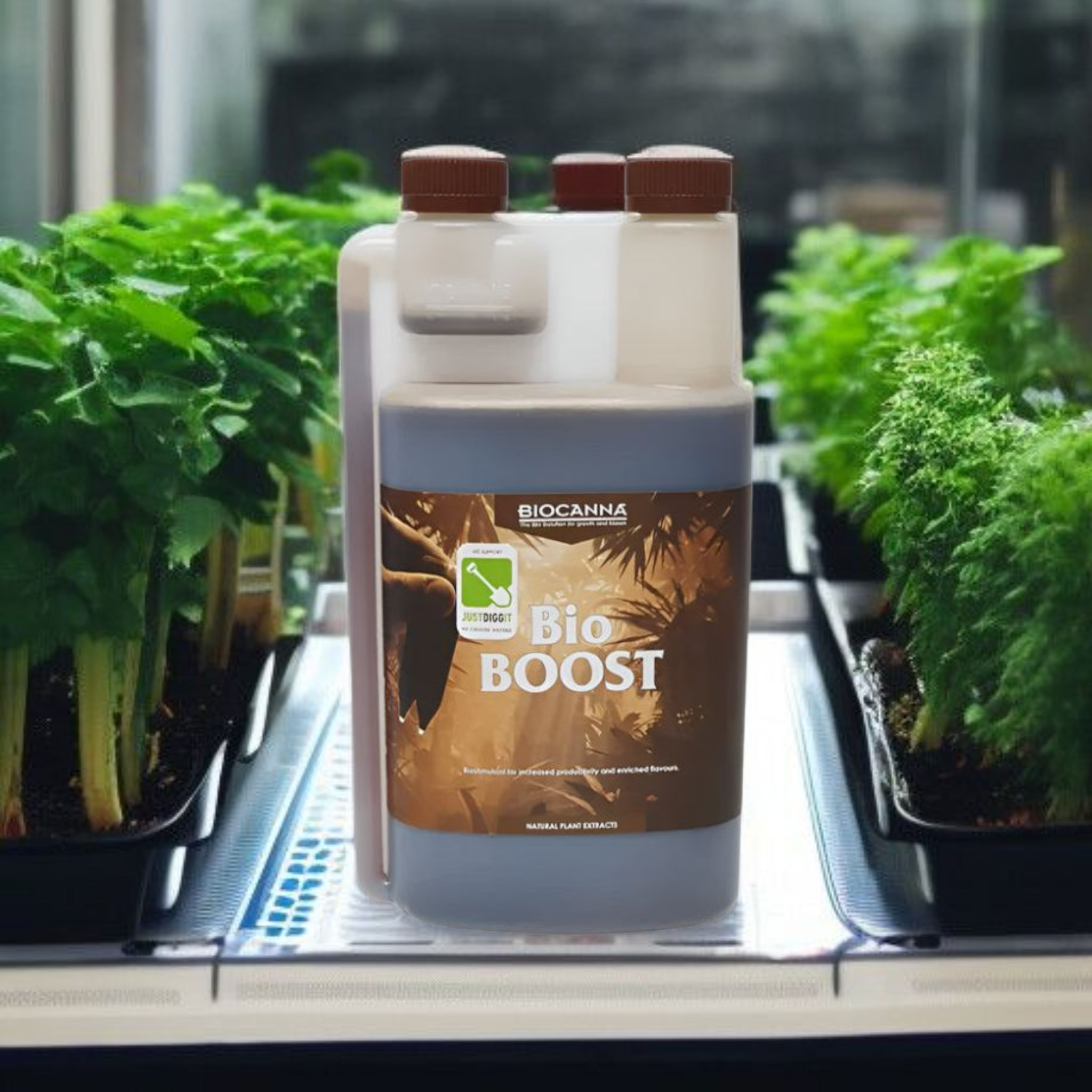 Canna Bio Boost