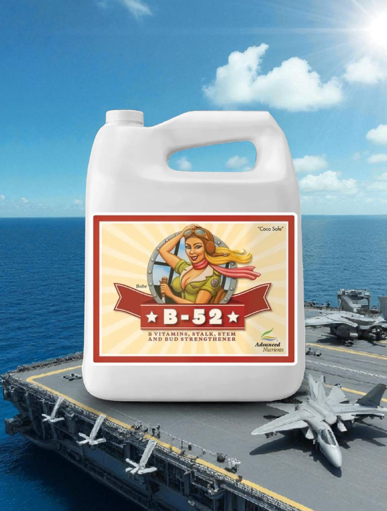 B-52 fertilizer container