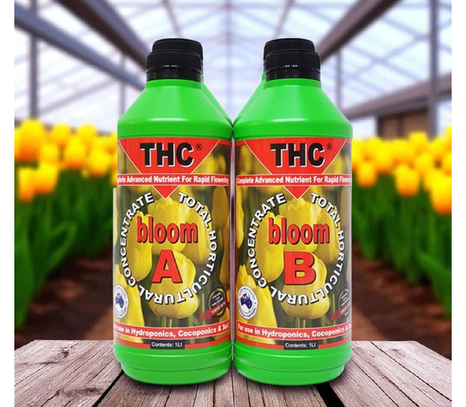 THC bloom A+B