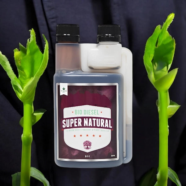 Bio Diesel Super Natural