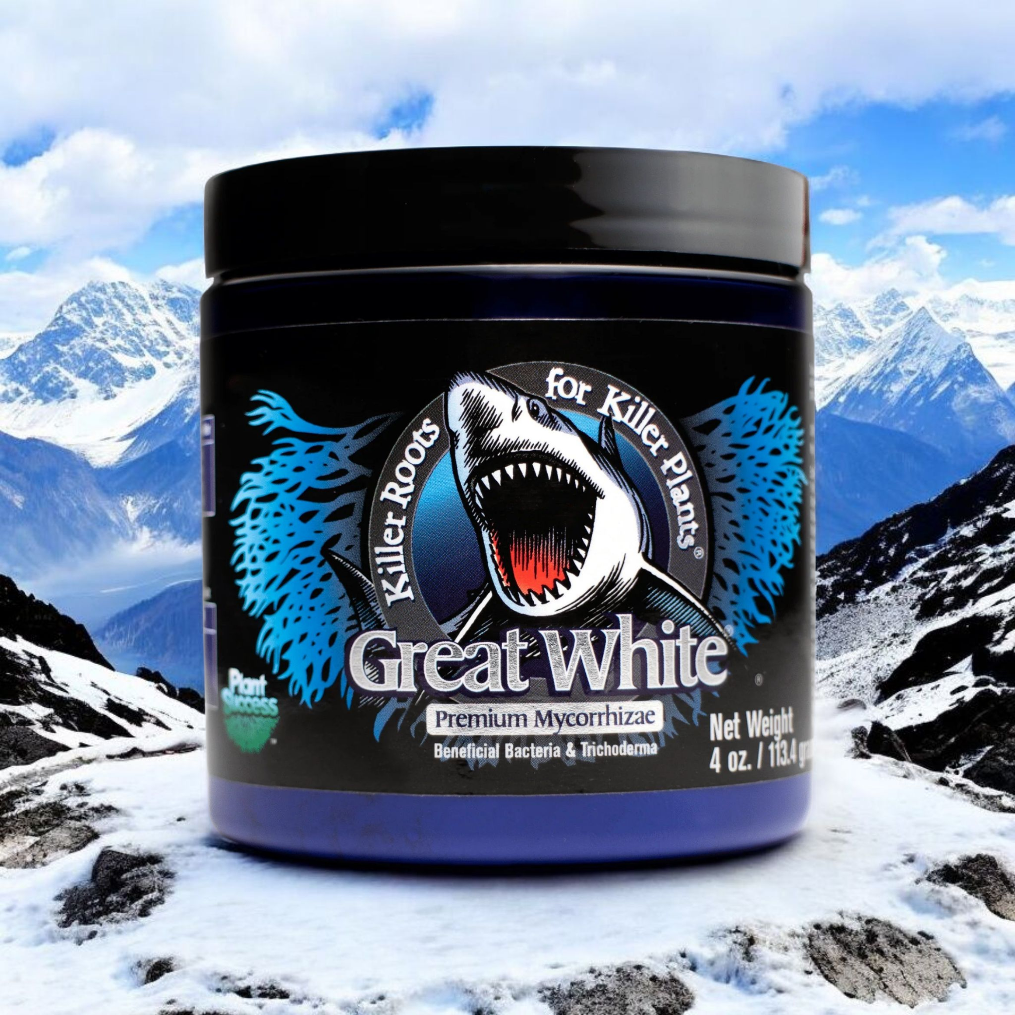 Great White Mycorrhizae