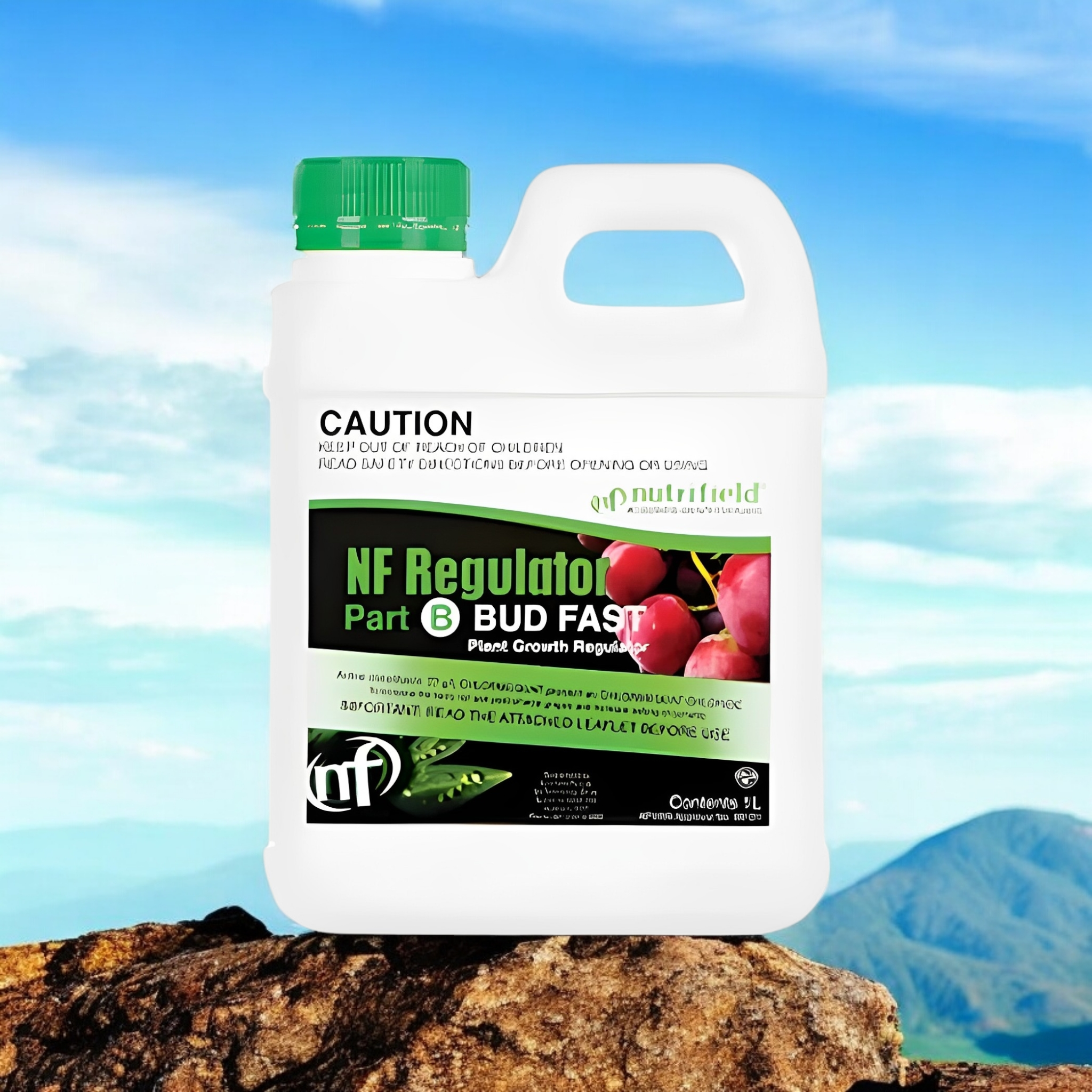 Regulator Bud Fast 1L part B