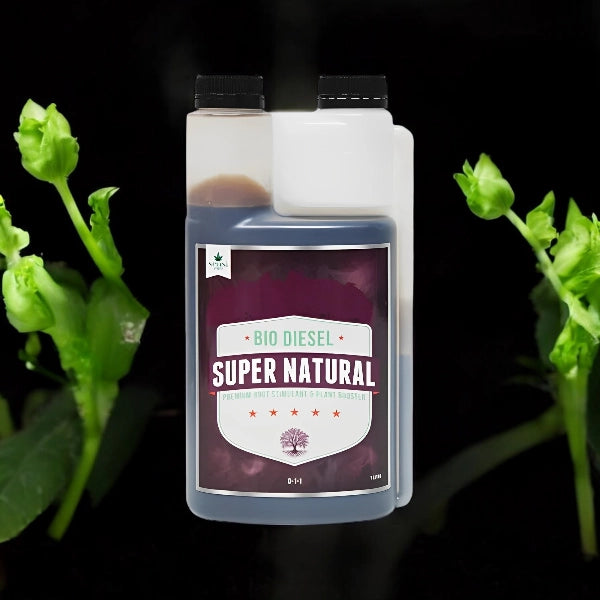 Bio Diesel Super Natural