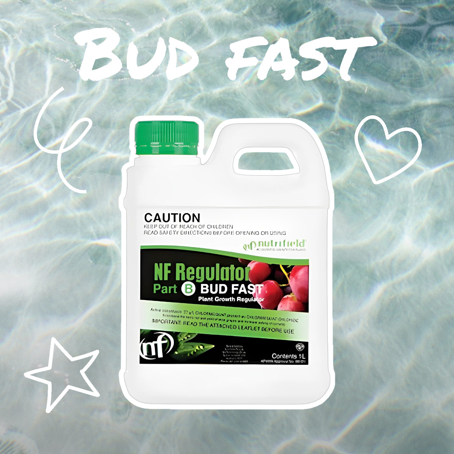 Regulator Bud Fast 1L part B