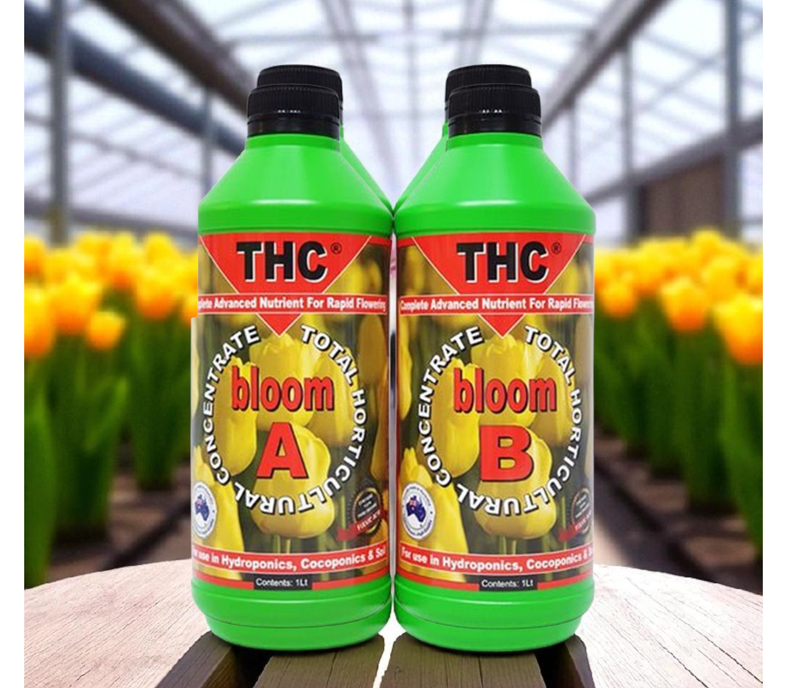THC bloom A+B