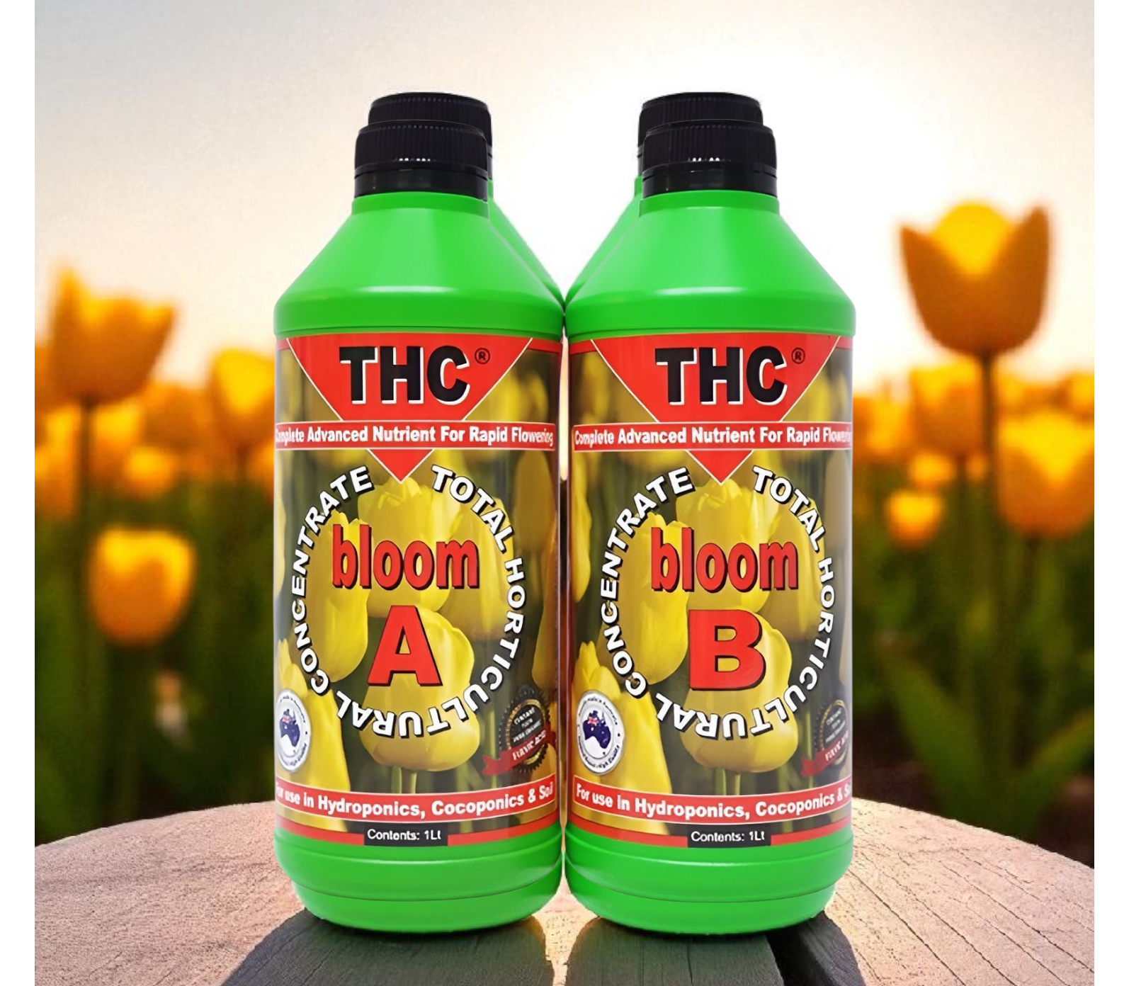 THC bloom A+B