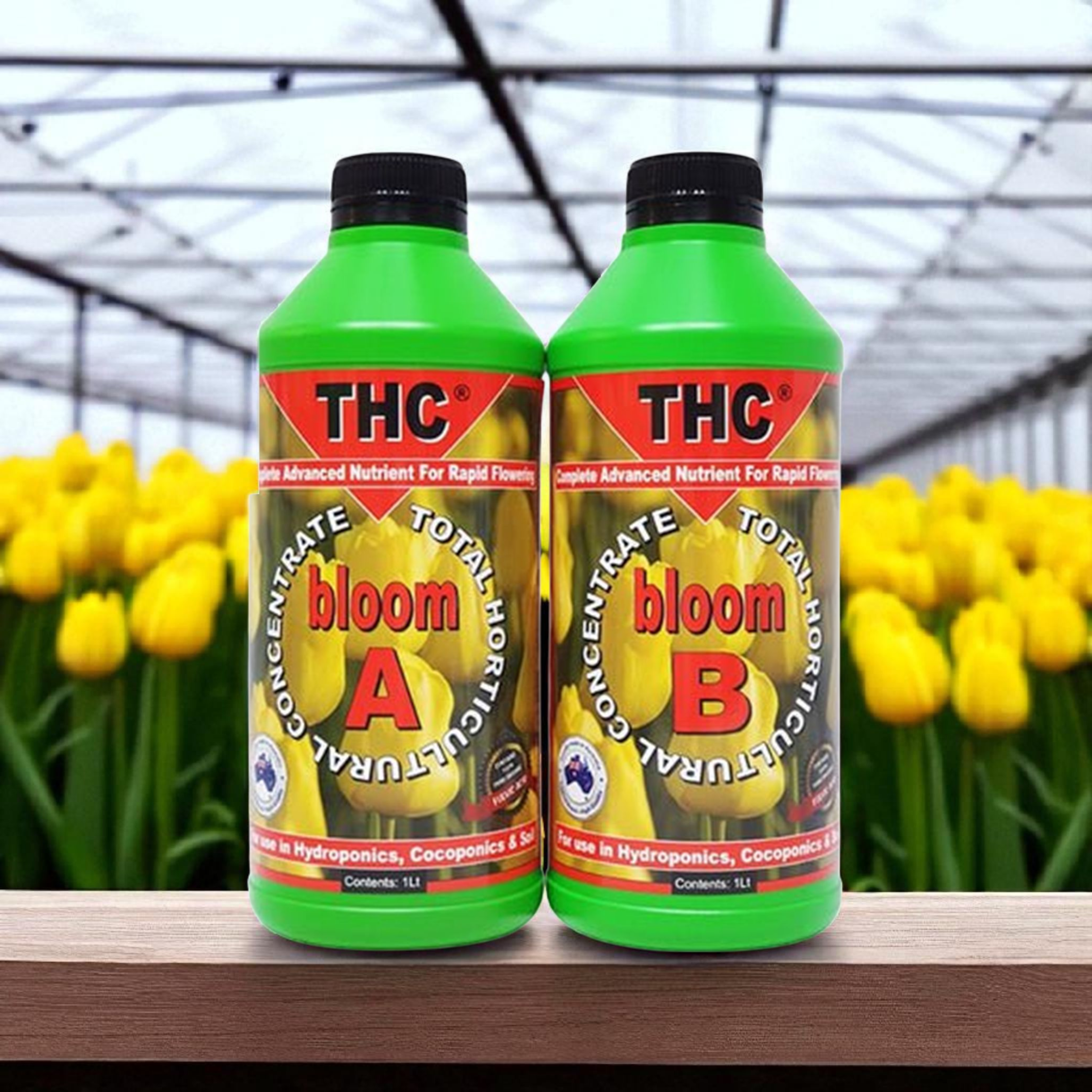 THC bloom A+B