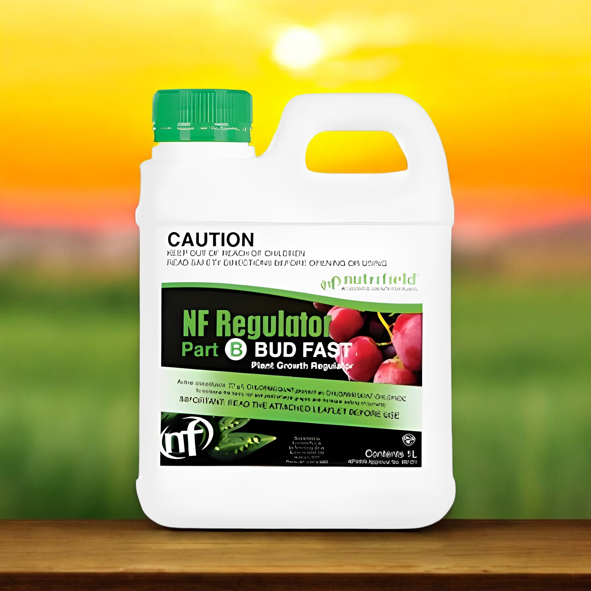 Regulator Bud Fast 1L part B