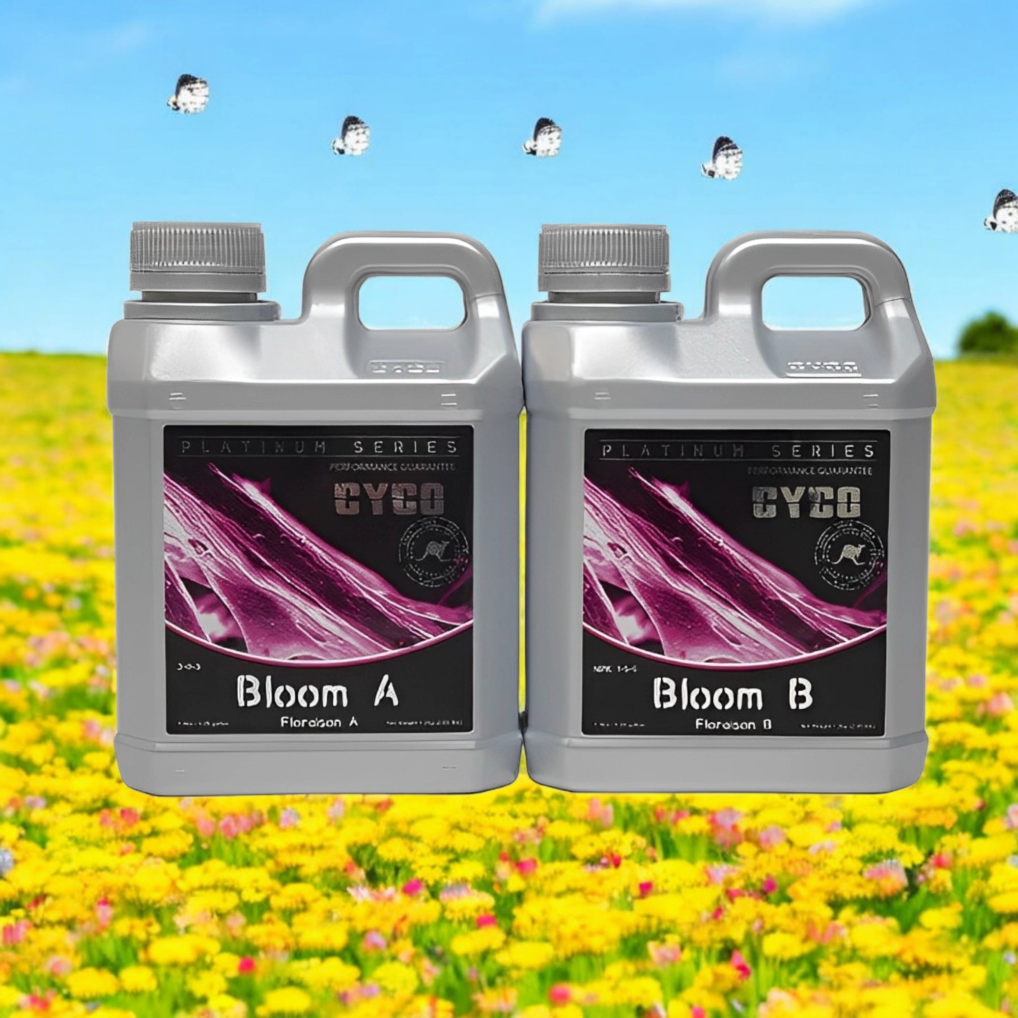 Cyco Bloom A & B