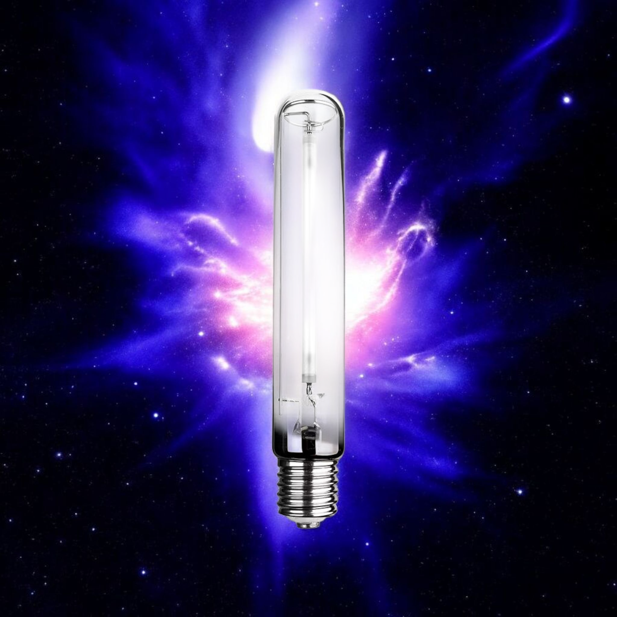 Pro Grow 600w DE HPS Lamp 2K