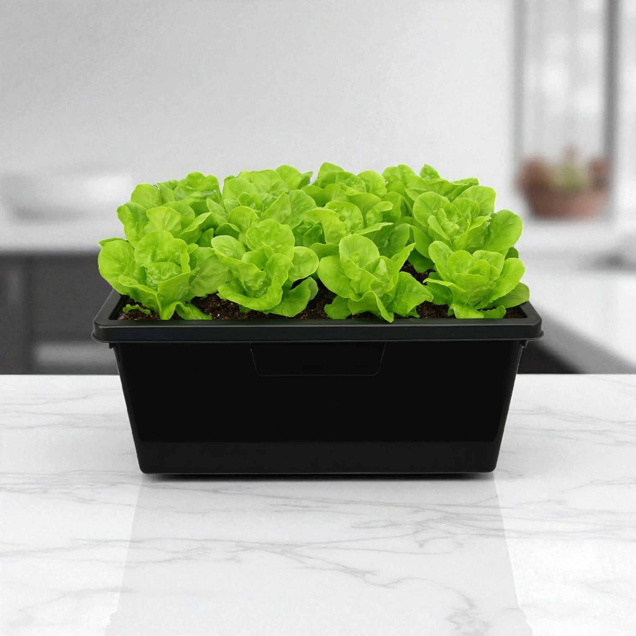 Black Tub with Lid 80L