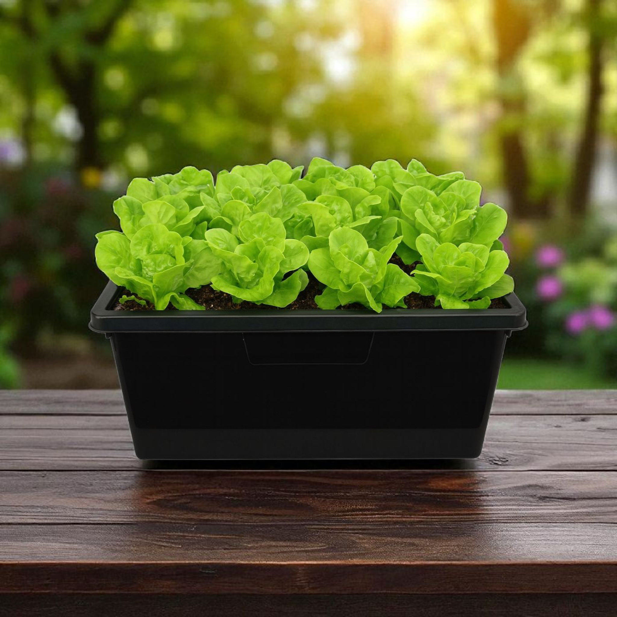 Black Tub with Lid 80L