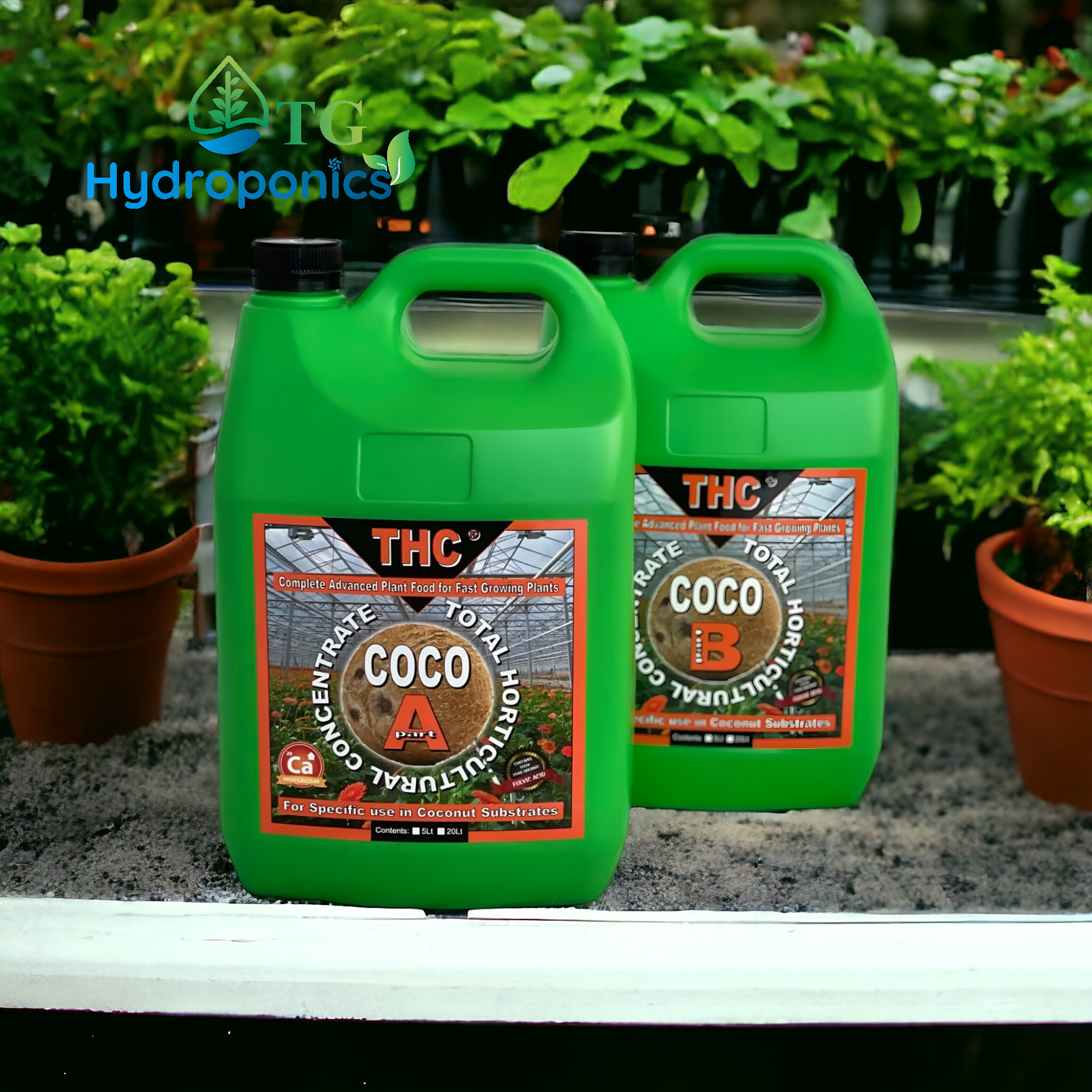 THC Coco A&B Pair | Full size