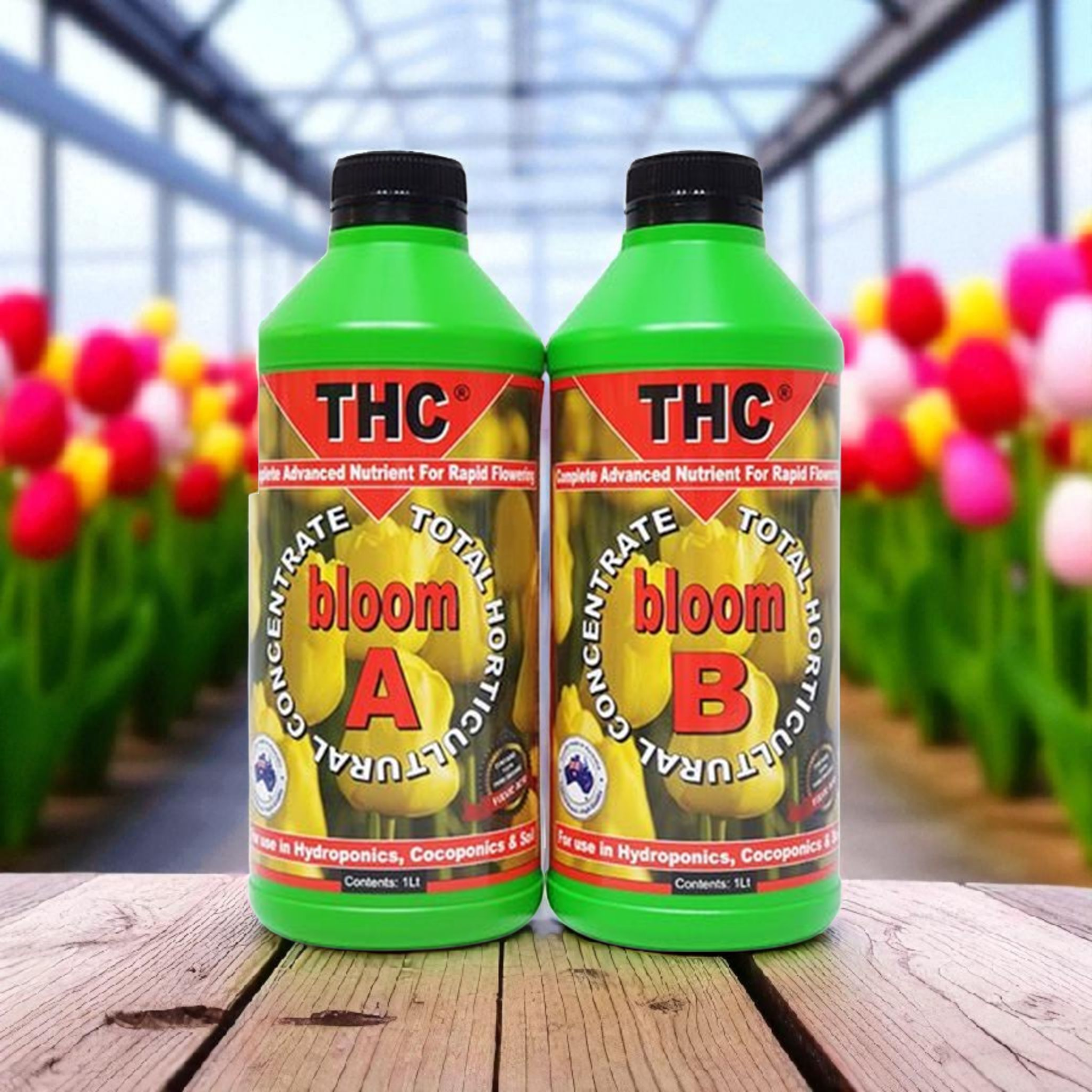 THC bloom A+B