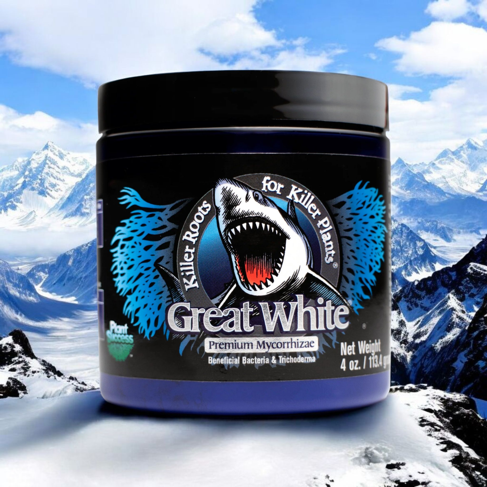 Great White Mycorrhizae